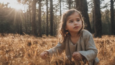 1girl,solo,long hair,blue eyes,brown hair,long sleeves,upper body,outdoors,day,blurry,tree,lips,looking away,sunlight,grass,child,nature,scenery,forest,backlighting,realistic,female child,field,wheat,aged down,sun,fine art parody