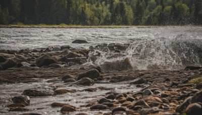 outdoors,water,tree,no humans,traditional media,nature,scenery,forest,rock,river,waves,blurry,ocean,beach,sand,shore