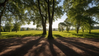 outdoors,sky,day,cloud,tree,blue sky,no humans,shadow,sunlight,grass,nature,scenery,forest,road,landscape,path,realistic,bush,shade,dappled sunlight,tree shade