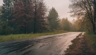 outdoors,sky,day,tree,no humans,grass,nature,scenery,forest,road,bush,landscape,path,cloud,cloudy sky,realistic,bare tree