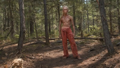 solo,long hair,looking at viewer,1boy,navel,closed mouth,standing,full body,weapon,white hair,male focus,outdoors,barefoot,day,pants,signature,tree,blood,tattoo,muscular,scar,abs,sandals,sunlight,pectorals,nature,scenery,forest,topless male,injury,rock,realistic,arms at sides,red pants,dirty,dirty feet,pointy ears