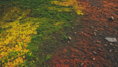 outdoors,day,tree,no humans,leaf,from above,traditional media,grass,nature,scenery,forest,rock,road,autumn leaves,autumn,solo,landscape,path