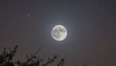 monochrome,comic,greyscale,outdoors,sky,cloud,blurry,tree,no humans,night,moon,star (sky),nature,night sky,scenery,full moon,branch,crescent moon,plant