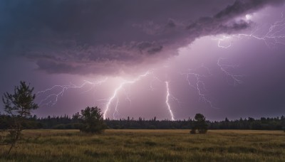 outdoors,sky,cloud,tree,no humans,cloudy sky,grass,nature,scenery,forest,electricity,lightning,landscape,purple sky,field