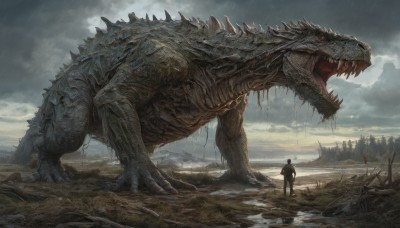 open mouth,red eyes,1boy,standing,outdoors,sky,teeth,cloud,cloudy sky,sharp teeth,scenery,claws,1other,rain,monster,size difference,giant,ambiguous gender,kaijuu,spikes,mountain,dragon,scales,grey sky