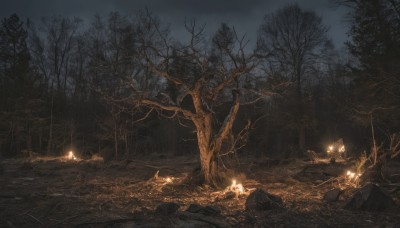 outdoors,sky,cloud,tree,no humans,night,glowing,grass,fire,nature,scenery,forest,lantern,rock,dark,bare tree,sword,light,landscape,torch,cave,campfire