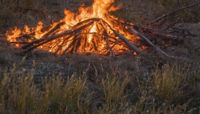 outdoors,blurry,tree,no humans,traditional media,grass,fire,nature,scenery,forest,bridge,burning,dark