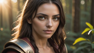 1girl,solo,long hair,looking at viewer,brown hair,brown eyes,closed mouth,outdoors,armor,blurry,lips,depth of field,blurry background,sunlight,plant,shoulder armor,portrait,nature,forest,backlighting,freckles,pauldrons,realistic,nose,day,eyelashes,close-up,forehead