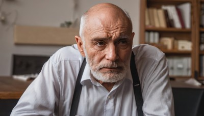 solo,looking at viewer,shirt,1boy,closed mouth,white shirt,upper body,male focus,collared shirt,indoors,blurry,book,dress shirt,blurry background,facial hair,suspenders,beard,meme,realistic,mustache,bookshelf,bald,old,old man,wrinkled skin,long sleeves,brown eyes,depth of field,parody