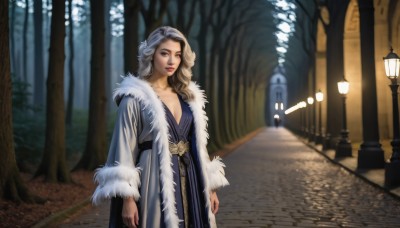 1girl,solo,long hair,breasts,looking at viewer,blonde hair,brown hair,long sleeves,dress,cleavage,brown eyes,closed mouth,standing,collarbone,multicolored hair,small breasts,outdoors,open clothes,belt,blurry,tree,lips,coat,fur trim,depth of field,blurry background,blue dress,wavy hair,forest,realistic,arms at sides,white coat,red lips,road,fur-trimmed coat,lamppost,fur coat,medium breasts,grey hair,parted lips,nature,fur-trimmed sleeves