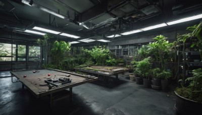 day,indoors,tree,no humans,window,chair,table,sunlight,plant,scenery,potted plant,ruins,overgrown,water,wooden floor,ceiling light