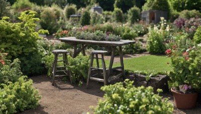 flower,outdoors,day,blurry,tree,no humans,depth of field,shadow,chair,table,grass,plant,red flower,building,scenery,potted plant,road,bush,flower pot,path,garden,sunlight,nature,pink flower,wooden chair