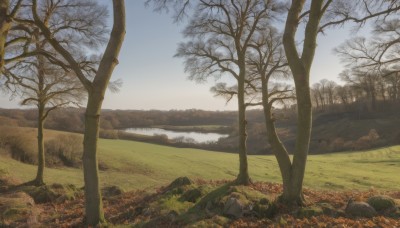 outdoors,sky,day,cloud,water,tree,blue sky,no humans,grass,nature,scenery,forest,rock,mountain,bare tree,river,landscape,autumn leaves,autumn