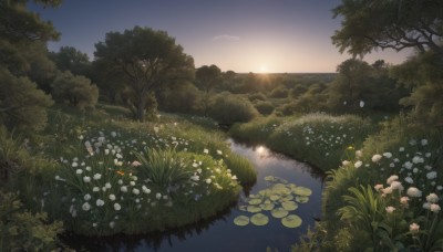 flower,outdoors,sky,cloud,water,tree,no humans,sunlight,grass,plant,white flower,nature,scenery,forest,reflection,sunset,mountain,sun,river,landscape,lake,lily pad,pond,bush,gradient sky,sunrise