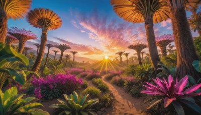 flower, outdoors, sky, cloud, tree, no humans, sunlight, cloudy sky, grass, plant, nature, scenery, sunset, palm tree, sun, road