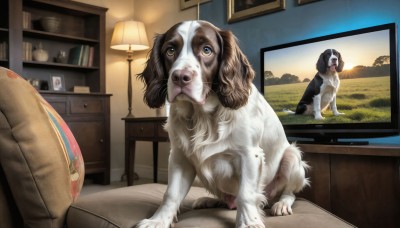 HQ,brown eyes,yellow eyes,indoors,no humans,animal,chair,table,couch,dog,realistic,bookshelf,lamp,photo (object),television,animal focus,picture frame,painting (object),picture (object),portrait (object),solo,looking at viewer,open mouth,tongue,tongue out,book,window,grass,plant,scenery