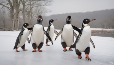 standing,outdoors,day,artist name,signature,black eyes,tree,no humans,bird,animal,snow,animal focus,winter,bare tree,penguin,flock,sky,scenery,walking,road,grey sky