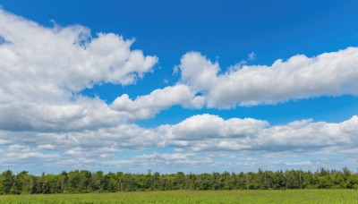 outdoors,sky,day,cloud,tree,blue sky,no humans,cloudy sky,grass,nature,scenery,forest,field,landscape