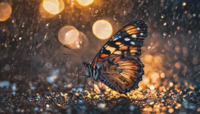 wings, blurry, no humans, night, depth of field, bug, butterfly, flying, city, antennae, bokeh, butterfly wings, city lights, insect wings