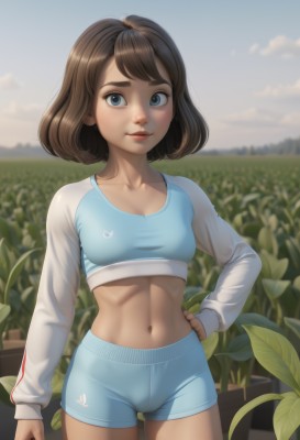 1girl,solo,breasts,looking at viewer,smile,short hair,bangs,blue eyes,brown hair,shirt,long sleeves,navel,closed mouth,underwear,standing,collarbone,cowboy shot,small breasts,outdoors,sky,shorts,day,midriff,artist name,cloud,stomach,bra,blurry,blue sky,lips,crop top,hand on hip,short shorts,blurry background,cameltoe,abs,thick eyebrows,plant,freckles,arm at side,blue shorts,toned,sports bra,body freckles,bob cut,animal print,contrapposto,realistic,nose,field,bunny print,training bra