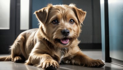 HQ,solo,open mouth,brown eyes,tongue,indoors,tongue out,no humans,saliva,animal,fangs,dog,realistic,animal focus,looking at viewer,full body,teeth,blurry,collar,window,claws,animal collar,brown fur