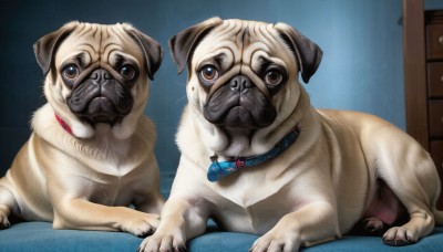 HQ,looking at viewer,brown eyes,indoors,collar,no humans,bed,animal,mouth hold,dog,realistic,animal focus,red collar,animal collar,horror (theme),sitting