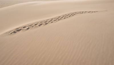 monochrome,outdoors,water,no humans,beach,scenery,sand,sepia,brown theme,desert,still life