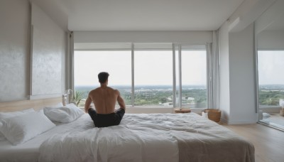 solo,short hair,black hair,1boy,sitting,male focus,sky,day,pants,indoors,from behind,pillow,window,bed,muscular,on bed,back,plant,curtains,muscular male,building,scenery,topless male,cityscape,bedroom,wide shot,ocean,wooden floor,potted plant,photo background,carpet,rug