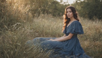 1girl,solo,long hair,looking at viewer,blue eyes,brown hair,dress,brown eyes,sitting,closed mouth,braid,short sleeves,outdoors,day,blurry,lips,looking to the side,blurry background,blue dress,grass,nature,realistic,long dress,jewelry,parted lips,artist name,signature,necklace,from side,sunlight,curly hair,field