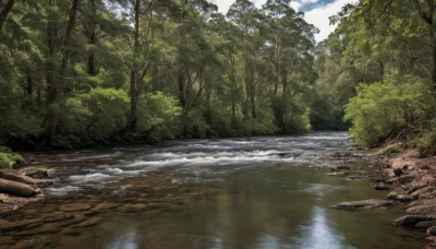 outdoors,sky,day,cloud,water,tree,no humans,nature,scenery,forest,reflection,rock,river,landscape,blue sky,cloudy sky,grass,plant,bush,stream