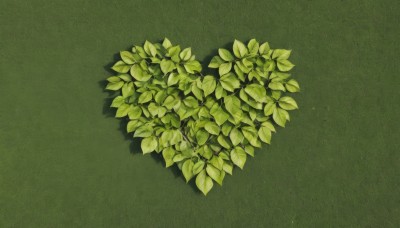 simple background,no humans,shadow,leaf,plant,scenery,green background,green theme,still life,monochrome,signature,from above,grass