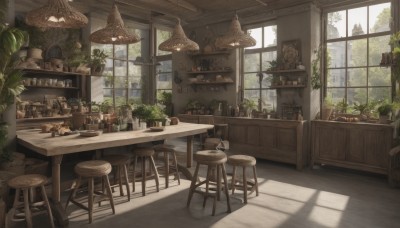 food,day,indoors,tree,cup,no humans,window,shadow,chair,table,sunlight,bottle,plant,scenery,plate,drinking glass,clock,basket,potted plant,lamp,stool,shelf,jar,wooden floor,light,ceiling,counter,ceiling light,cabinet