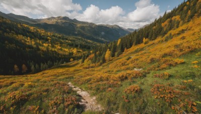 flower,outdoors,sky,day,cloud,tree,blue sky,no humans,cloudy sky,grass,nature,scenery,forest,mountain,road,field,landscape,mountainous horizon,path