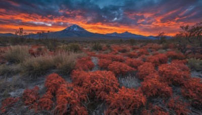 outdoors,sky,cloud,tree,no humans,leaf,cloudy sky,grass,nature,scenery,forest,sunset,mountain,road,autumn leaves,field,autumn,evening,landscape,mountainous horizon,orange sky,red sky,water,reflection,fog