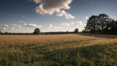 outdoors,sky,day,cloud,tree,blue sky,no humans,cloudy sky,grass,nature,scenery,forest,mountain,road,field,landscape,path,hill