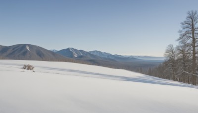 outdoors,sky,day,tree,blue sky,no humans,nature,scenery,snow,forest,mountain,winter,bare tree,landscape,mountainous horizon,footprints,pine tree,cloud,fog