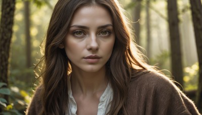 1girl,solo,long hair,looking at viewer,brown hair,shirt,brown eyes,closed mouth,white shirt,upper body,outdoors,parted lips,day,blurry,tree,lips,eyelashes,depth of field,blurry background,sunlight,portrait,nature,forehead,forest,freckles,realistic,nose,collared shirt,messy hair