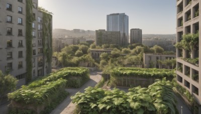 outdoors,sky,day,tree,no humans,window,plant,building,scenery,city,road,cityscape,ruins,street,skyscraper,overgrown,real world location,blue sky,bush