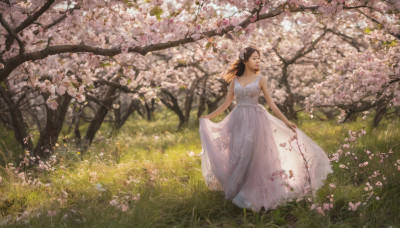 1girl, solo, long hair, brown hair, dress, standing, flower, outdoors, sleeveless, day, white dress, tree, sleeveless dress, grass, cherry blossoms, nature, pink flower, realistic, skirt hold