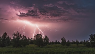 outdoors,sky,cloud,tree,no humans,cloudy sky,grass,nature,scenery,forest,electricity,lightning,landscape,purple sky,sunset