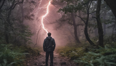 solo, black hair, 1boy, standing, jacket, male focus, outdoors, pants, hood, from behind, tree, black pants, grass, nature, scenery, forest, lightning