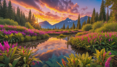 flower, outdoors, sky, cloud, water, tree, no humans, cloudy sky, grass, plant, nature, scenery, forest, reflection, sunset, mountain, landscape, mountainous horizon, lake