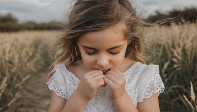 1girl,solo,long hair,brown hair,shirt,dress,closed mouth,closed eyes,white shirt,upper body,short sleeves,outdoors,white dress,blurry,lips,hands up,eyelashes,floating hair,depth of field,blurry background,grass,wind,lace,facing viewer,realistic,field,sky,day