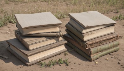 weapon,outdoors,day,gun,book,no humans,shadow,grass,plant,nature,scenery,bullet,still life,log,ammunition,wood,book stack