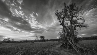 monochrome,greyscale,outdoors,sky,cloud,tree,no humans,cloudy sky,grass,instrument,nature,scenery,field,landscape,sunlight,plant,light rays