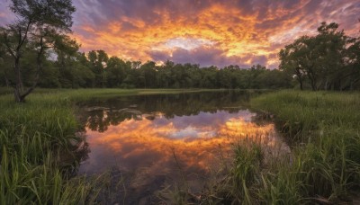 outdoors,sky,cloud,water,tree,blue sky,no humans,cloudy sky,grass,plant,nature,scenery,forest,reflection,sunset,river,evening,landscape,reflective water,sunlight,mountain,lake