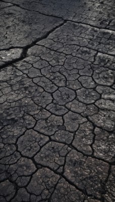 monochrome,greyscale,outdoors,tree,no humans,from above,traditional media,scenery,comic,signature,road,stone floor,brick floor