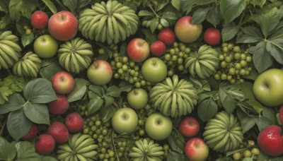 food,signature,no humans,fruit,leaf,plant,scenery,realistic,apple,green theme,grapes,food focus,still life,outdoors,day,from above,tomato