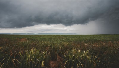 outdoors,sky,day,cloud,no humans,ocean,cloudy sky,grass,plant,nature,scenery,horizon,field,landscape,grey sky,blue sky