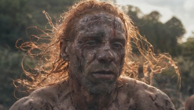 solo,looking at viewer,blonde hair,1boy,male focus,outdoors,parted lips,blurry,tree,blood,blurry background,facial hair,scar,messy hair,portrait,beard,realistic,stubble,dirty,blue eyes,closed mouth,close-up